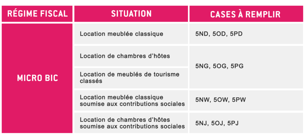 comment declarer lmnp inpi